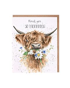 Wrendale Designs So Moooch! Highland Cow Thank You Card